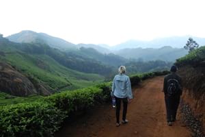 Amazing Kerala 6 days tour package