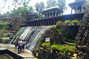 Chandigarh Sightseeing Tour