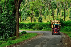 Coorg Monsoon Paradise