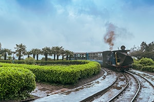 darjeeling gangtok tour