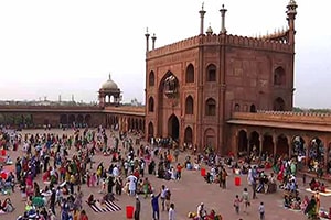 Delhi Local Tour