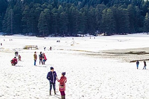 explore dalhousie tour