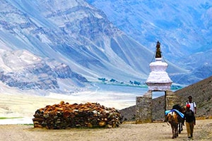 Ladakh Tour 5 days