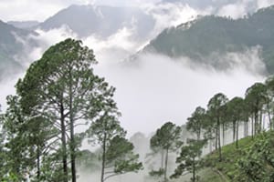 Nainital Rishikesh Tour 9 days